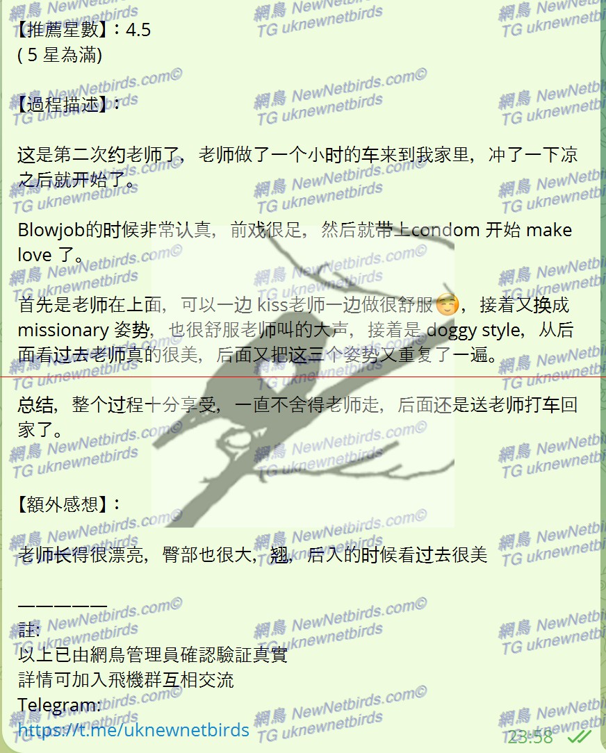 戰號 294 2.png